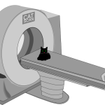 CAT scan