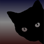 Black cat-1636756315