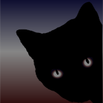 Black cat stare