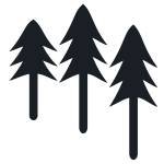 Simple pine trees