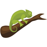 Chameleon reptile