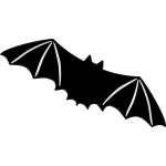 Black bat