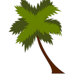 coco tree