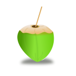 Green coconut vector image