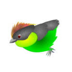 Colored finch