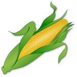 Fresh corn image