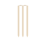 Cricket stumps and rails vector image