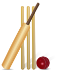 Vector drawing of cricket equipment