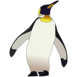 desen pinguin