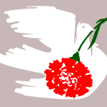Dove with carnation