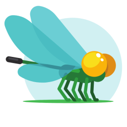 Dragonfly insect