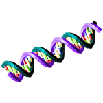 Double-stranded DNA sequence