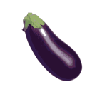 Eggplant vector image