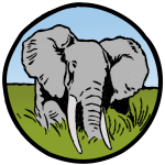 Elephant in circle