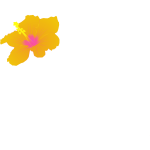 eljot hibiscus