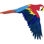 Vector graphics of macaw flying