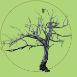 Dry tree (#2)