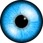 Blue eye vector image