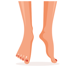 Female legs