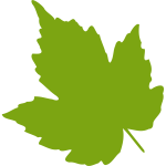 Red Leaves Drawing Vector Graphics Free SVG