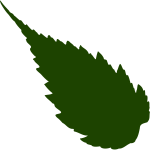 Image of drak green silhouette of a leaf