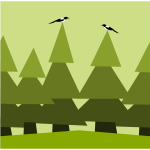 Forest with birds illustration