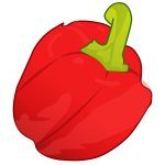 Red pepper vector image