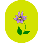 flower violet