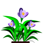 Violets vector image