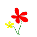 Flowers, Yellow and Red