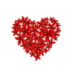 flowery heart 13042015