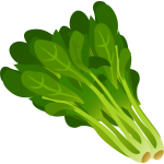 Spinach