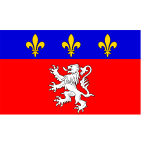 Lyonnais region flag vector illustration