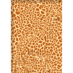 Giraffe print vector image