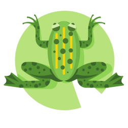 Green frog on a leaf