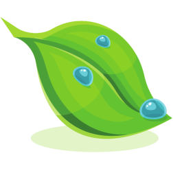 Green Leaf with Water Droplets