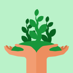 Green plant in hand