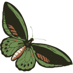 greenbutterfly