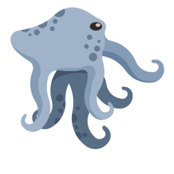 Grey octopus