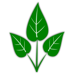 gsagri04 Green Leaf
