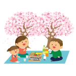 Picnic with cherry blossom
