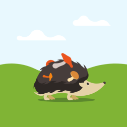 A hedgehog