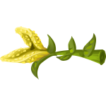 Yellow crumb flower