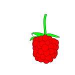 Simple raspberry