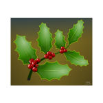 Holly plant
