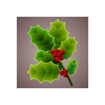 Holly branch image