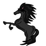horse black