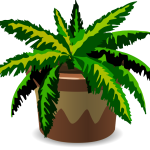 Spiky house plant