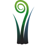 Vector image of leaf like plant with a spiral top