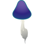 ilmenskie purple mushroom 2